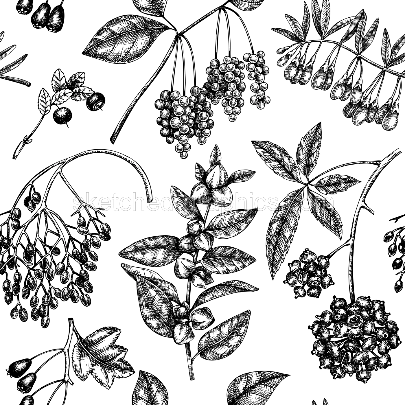 Medical plants seamless pattern. Hand-sketched adaptogenic herbs, weeds, berries, leaves backdrop. Perfect for brands, label, packaging, wrapping paper. Botanical illustration of adaptogenic plants Illustration
